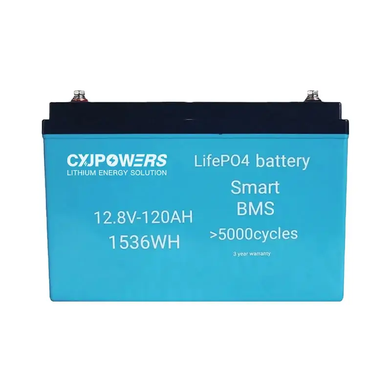 12V 120Ah LiFePo4 Battery Pack