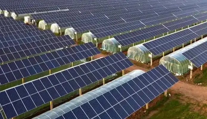 lithium ess battery caninet for photovoltaic agricultural greenhouse