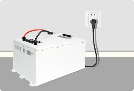 golf cart lifepo4 battery charge by charger